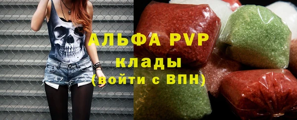 стаф Аркадак