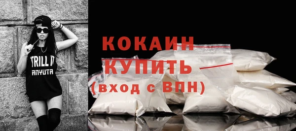 стаф Аркадак