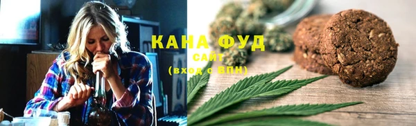 стаф Аркадак